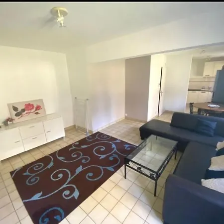 Apartment Geneva House