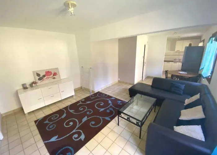 Apartment Geneva House