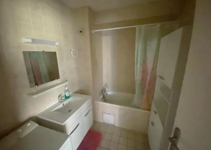 Geneva House Apartment Prevessin-Moens